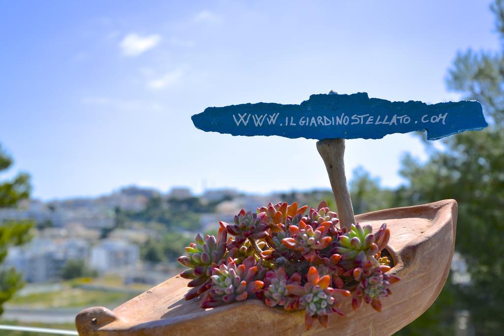 B&B Il Giardino Stellato 비에스테 외부 사진